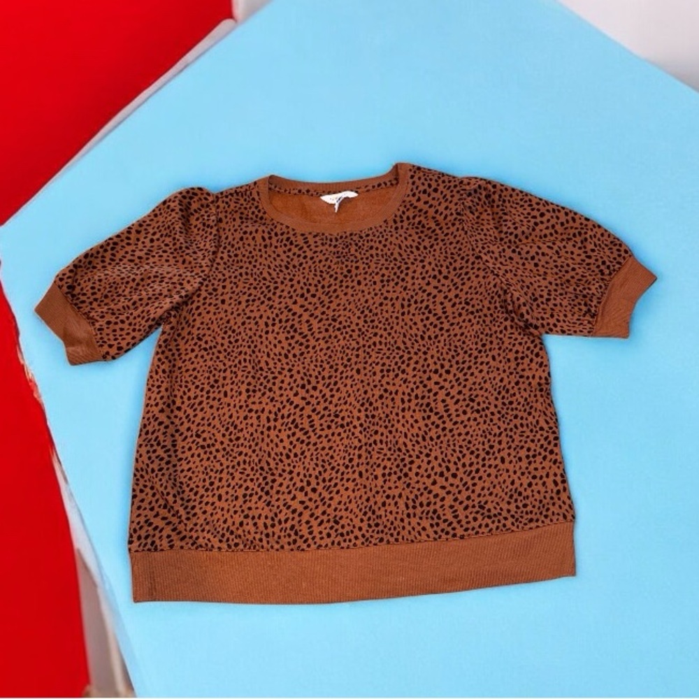 Brown Leopard Print Womens Short Sleeve Top (XXL)